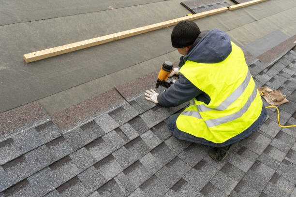 Best Roof Gutter Cleaning  in North Shore, VA