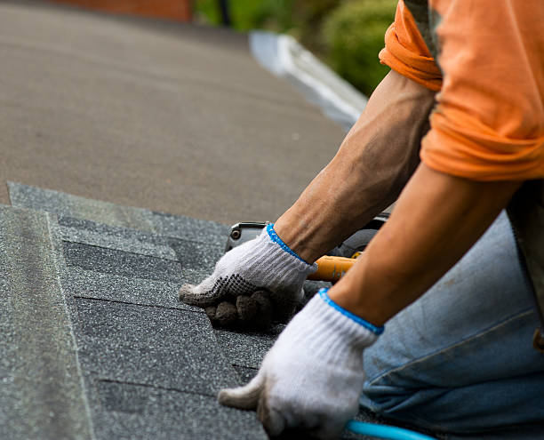 Best Local Roofing Companies  in North Shore, VA